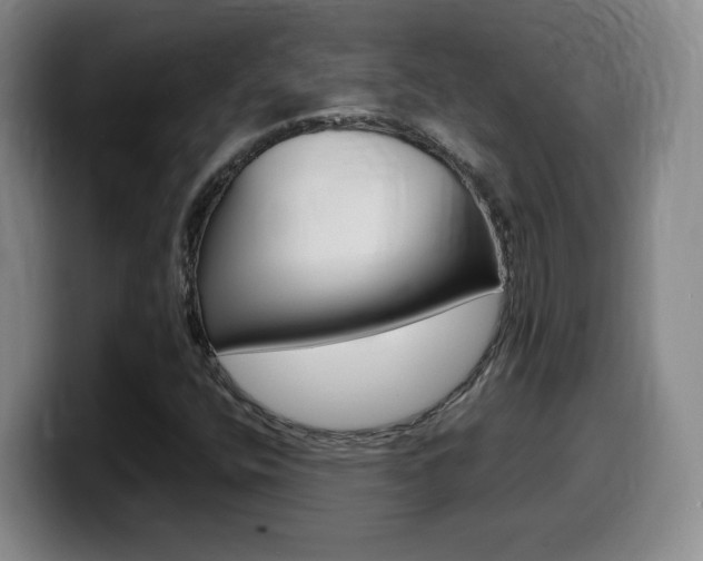 X0000099461400200805090738
