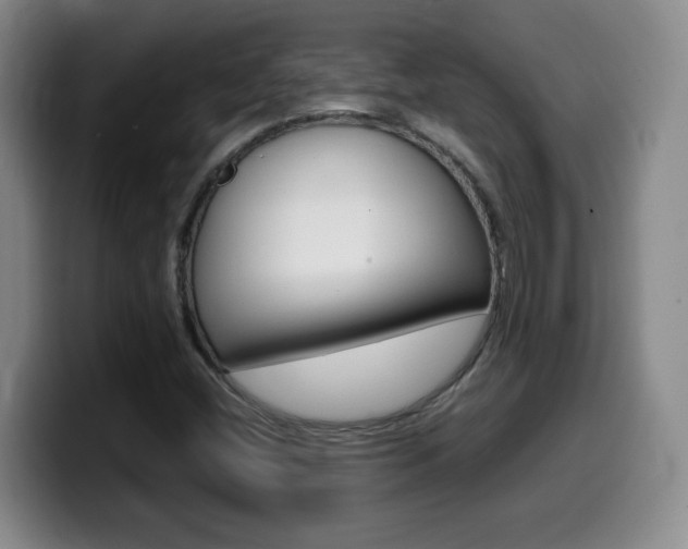 X0000099461404200805090738