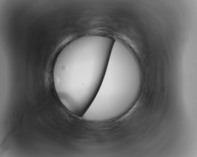X0000099461405200805090738