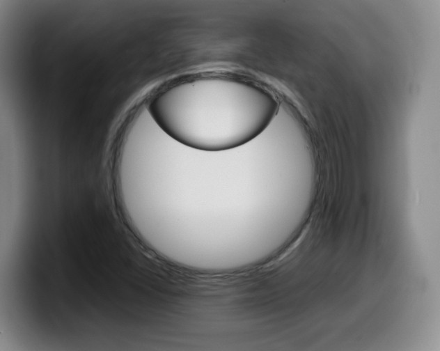 X0000099461406200805090738