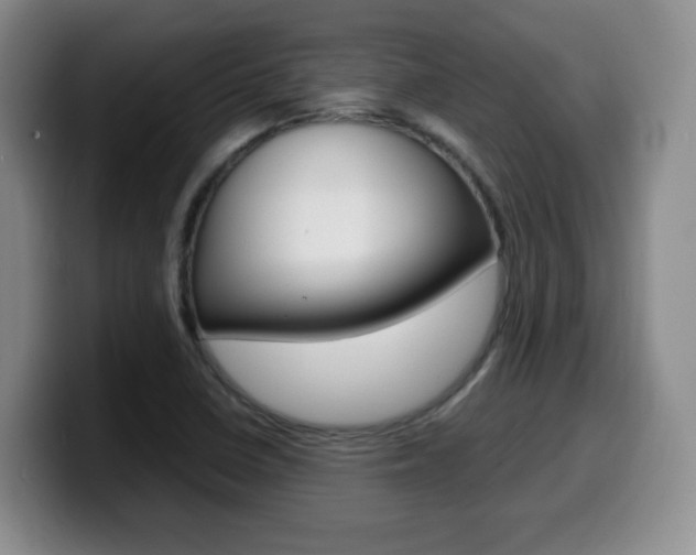 X0000099461410200805090738