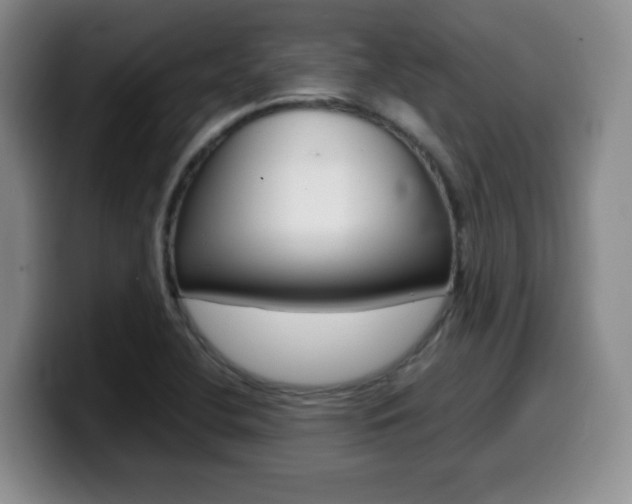 X0000099461412200805090738