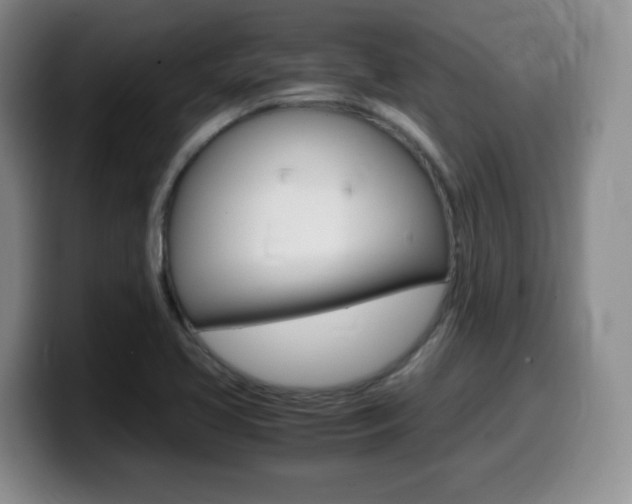 X0000099461413200805090738