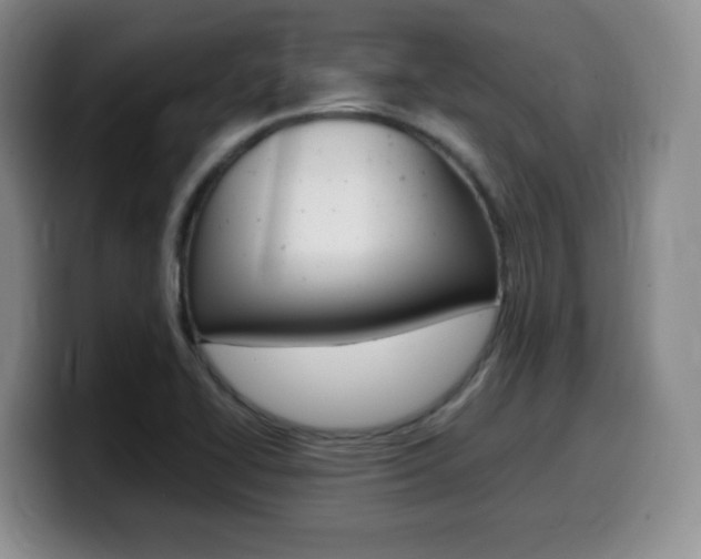 X0000099461414200805090738