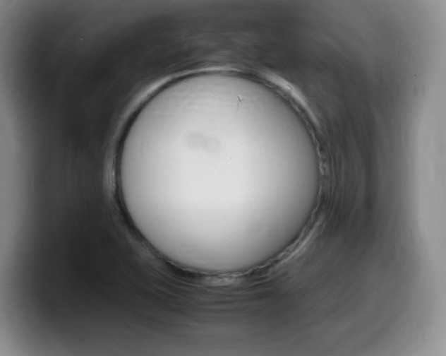 X0000099461415200805090738