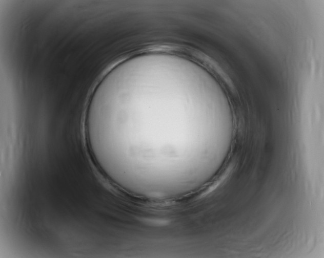 X0000099461417200805090738