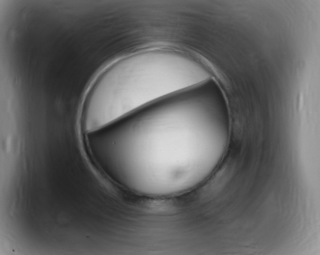 X0000099461418200805090738