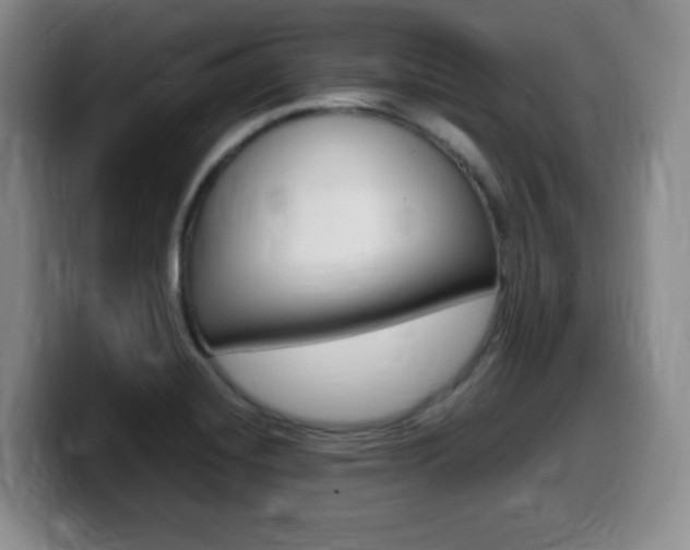 X0000099461420200805090738