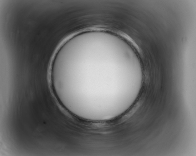 X0000099461421200805090738
