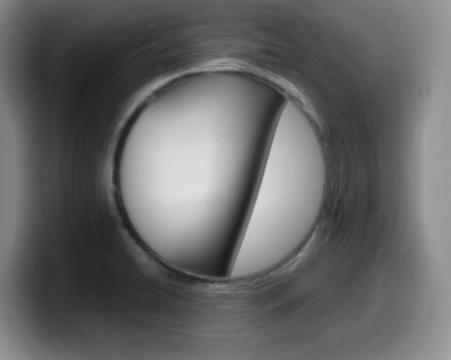 X0000099461422200805090738