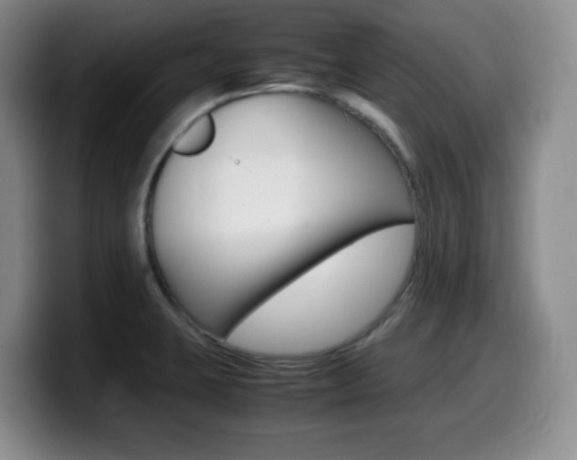 X0000099461423200805090738