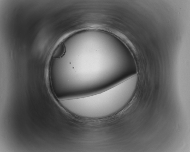 X0000099461424200805090738