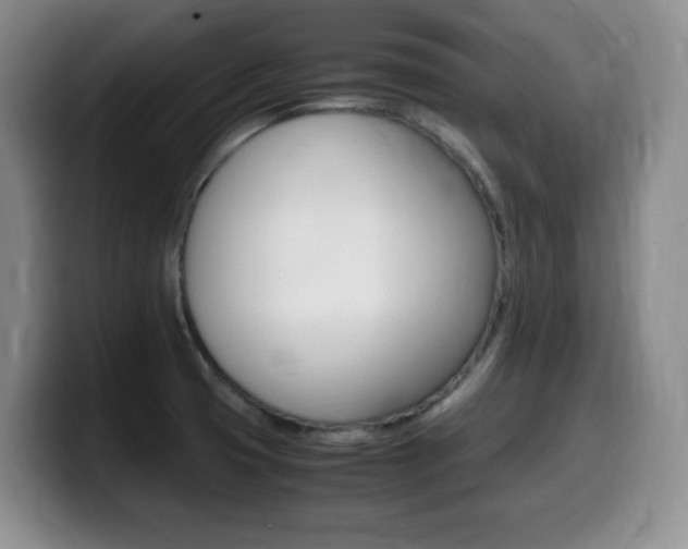 X0000099461425200805090738