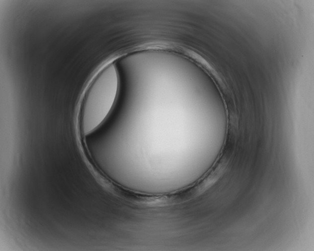 X0000099461426200805090738