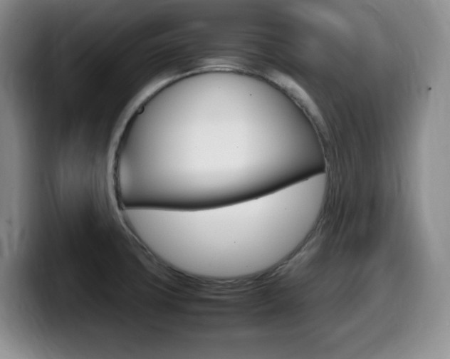 X0000099461427200805090738