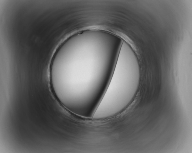 X0000099461428200805090738