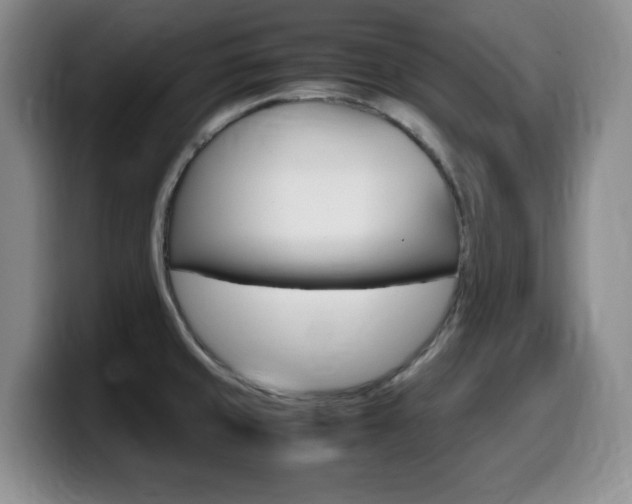 X0000099461429200805090738