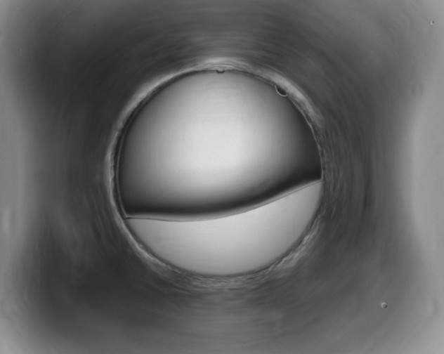 X0000099461430200805090738