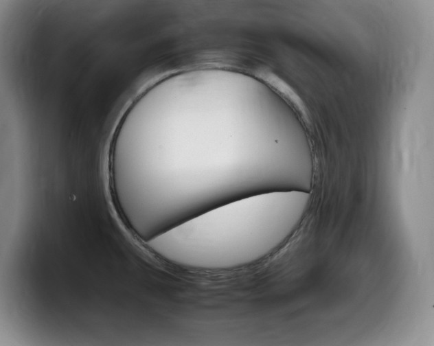 X0000099461431200805090738