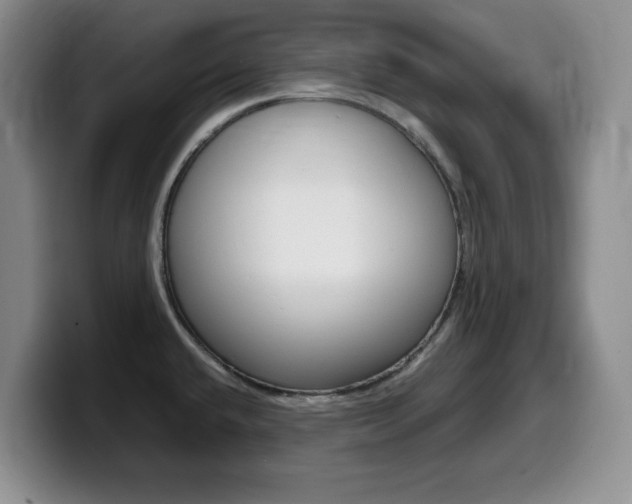 X0000099461432200805090738