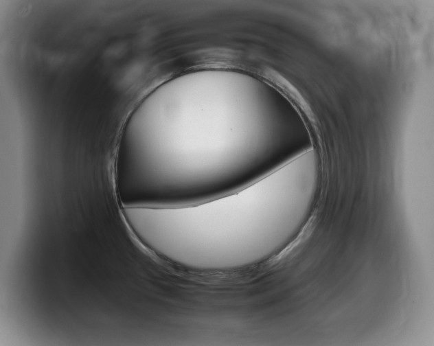 X0000099461433200805090738