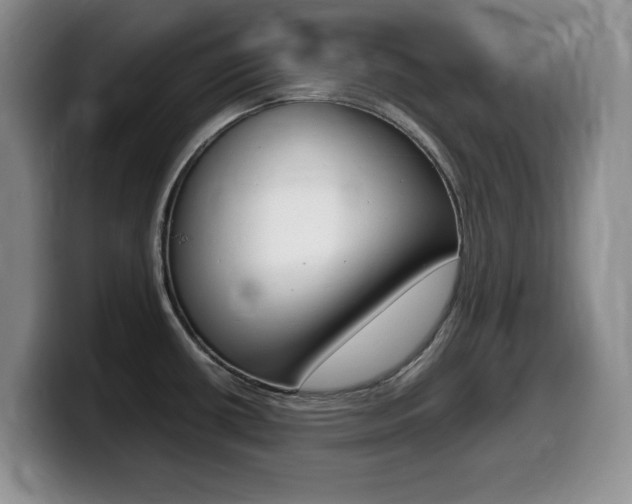 X0000099461434200805090738