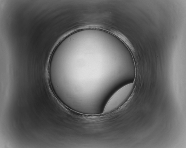 X0000099461436200805090738