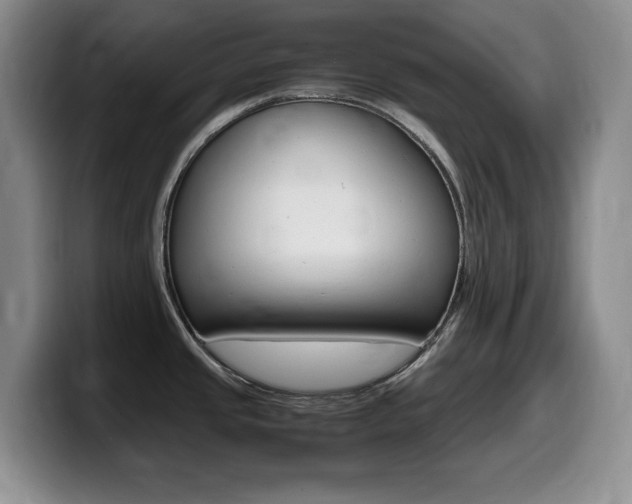 X0000099461437200805090738
