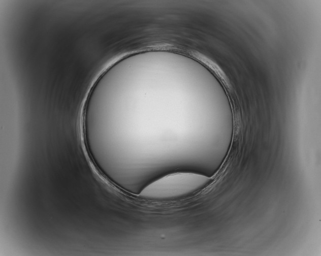 X0000099461439200805090738