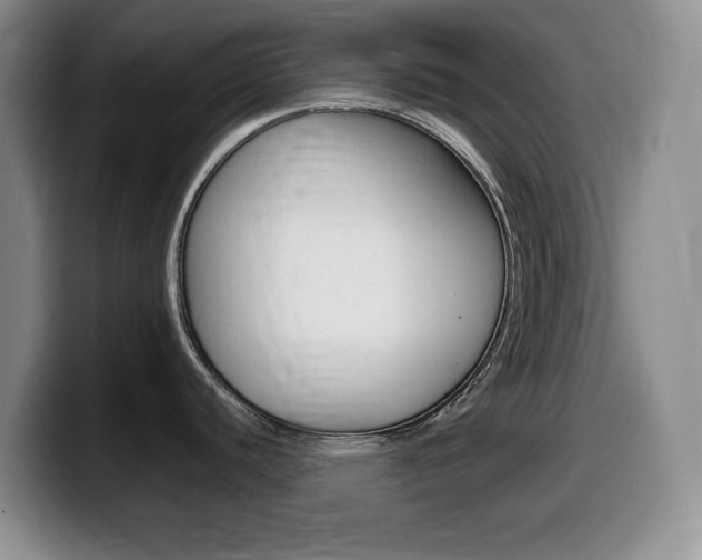 X0000099461440200805090738