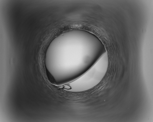 X0000099461441200805090738