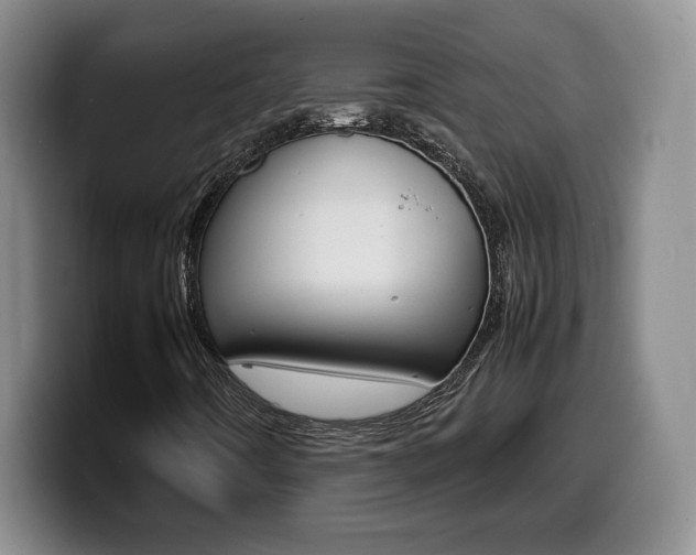 X0000099461442200805090738