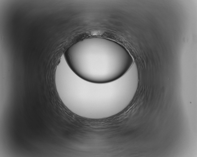 X0000099461443200805090738