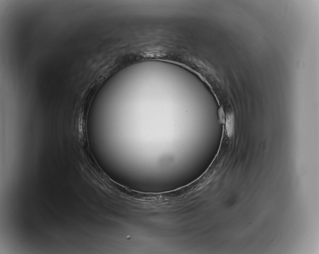 X0000099461444200805090738