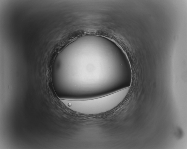 X0000099461445200805090738