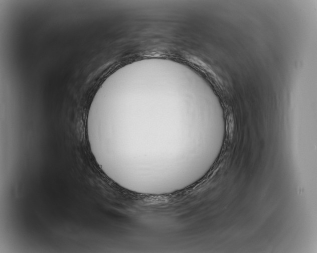 X0000099461446200805090738