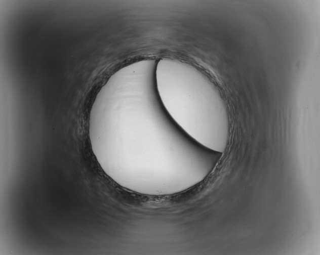 X0000099461447200805090738