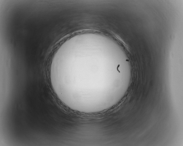 X0000099461448200805090738