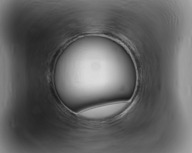 X0000099461449200805090738