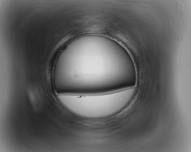X0000099461450200805090738
