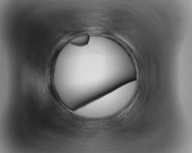 X0000099461451200805090738