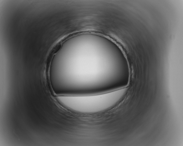 X0000099461452200805090738