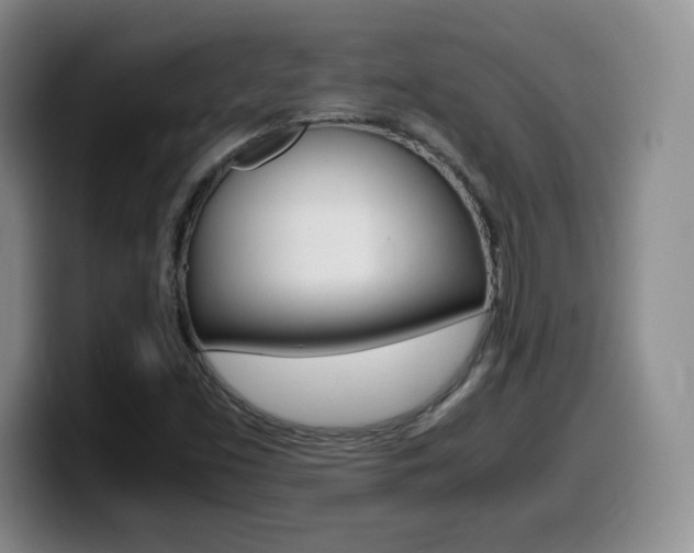 X0000099461453200805090738
