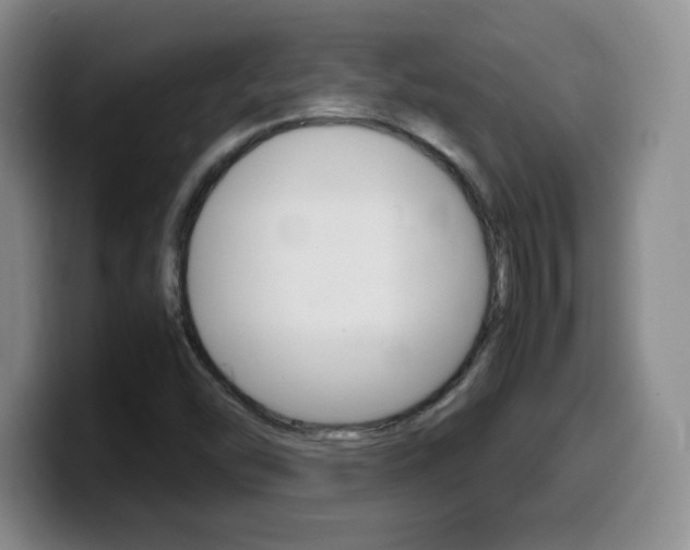 X0000099461454200805090738