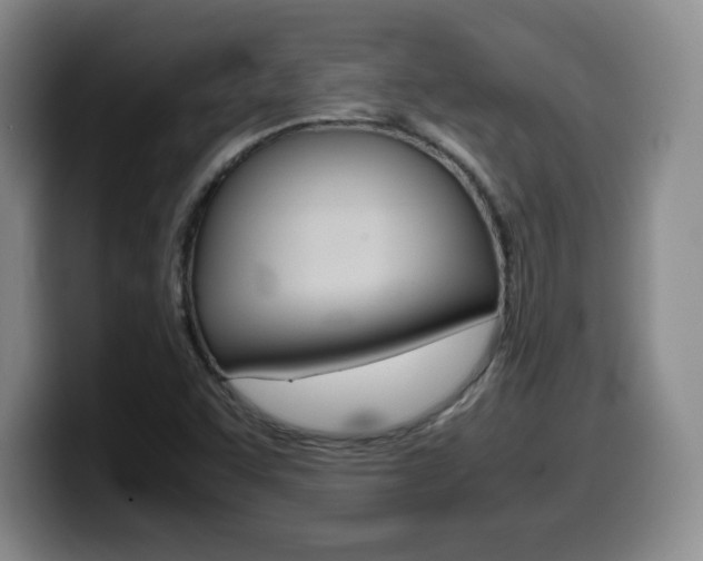 X0000099461455200805090738