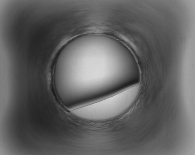 X0000099461459200805090738