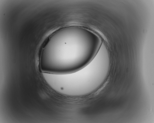 X0000099461461200805090738