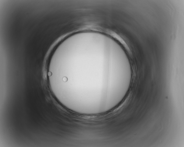X0000099461462200805090738