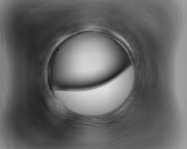 X0000099461463200805090738