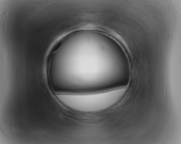 X0000099461464200805090738